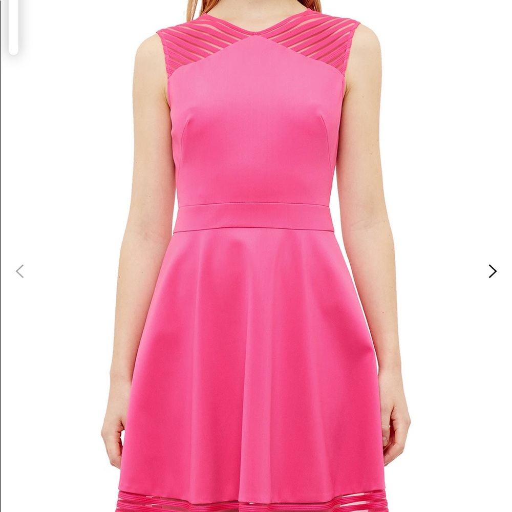 Ted Baker Eleese Mesh Detail Skater Dress
